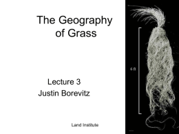 The Geography of Grass