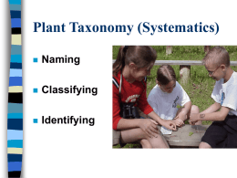 Plant Taxonomy (Systematics)
