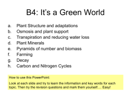B4: It’s a Green World