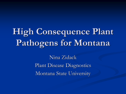 High Consequence Plant Pathogens for Montana
