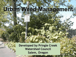 Urban Weed Management - - Marion Soil and Water