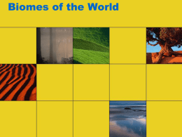 Biomes of the World - Mrs.Cain's World Geography