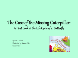 The Case of the Missing Caterpillar: A First Look at the
