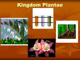 Kingdom Plantae - Ms. Pass's Biology Web Page