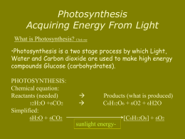 Photosynthesis Acquiring Energy From Light