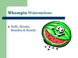 Whompin Watermelons - Community informatics