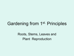Gardening from 1st. Principles
