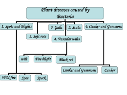 Biotic Diseases