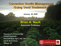 Cuke beetle control using seed treatments