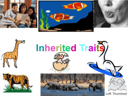 Inherited Traits