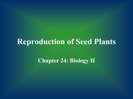 Reproduction of Seed Plants - Science Class: Mrs. Boulougouras