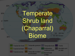 Biomes PowerPoint - Home