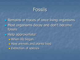 Fossils - SharpSchool