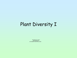 PLANT DIVERSITY I - Falmouth Schools