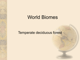 World Biomes - Tartu Veeriku Kool