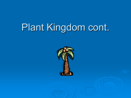 Plant Kingdom cont.