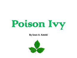Poison Ivy - Minutemancd's Blog