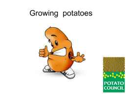 Growing potatoes - Grow Your Own Potatoes | Potato Council