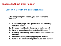 Module I: About Chili Pepper - University of Massachusetts