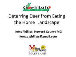 Deterring Deer from Eating the Home Landscape