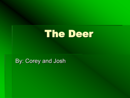 The deer - Wisdom Middle/High School