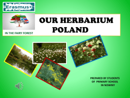 OUR HERBARIUM POLAND