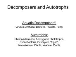 Decomposers and Autotrophs - Penn State York Home Page