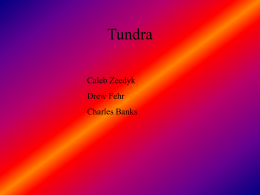 Tundra - Prairie Central