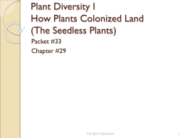 Plant Diversity How Plants Colonized Land