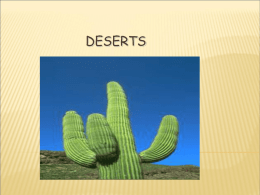 Deserts, Wind, and Dunes