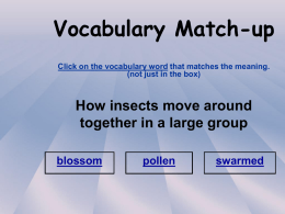 Vocabulary Match-up