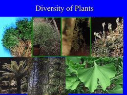 Diversity of Plants - Dublin City University