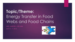 Topic/Theme: Energy Transfer in Food Webs and Food Chains