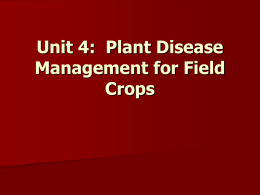 Unit 4: Plant Disease Management for Field Crops