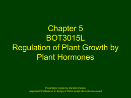 Chapter 3 BOT3015L Biology of Flowering Plants