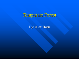 Temperate Forest - Middletown Public Schools