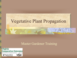 Plant Propagation - James City County/Williamsburg Master