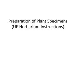 Preparation of Plant Specimens