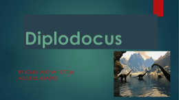 Diplodocus - Marcellus High School