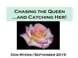 Chasing the Queen…And Catching Her!