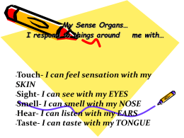 My Sense Organs… I respond to things around me with…