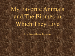 My Favorite Animals and The Biomes in Which They Live