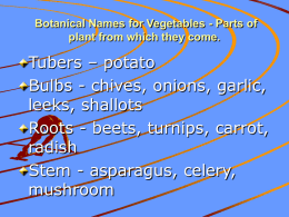 Botanical Names for Vegetables - Parts of plant from which they