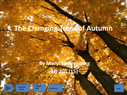The Changing Trees of Autumn