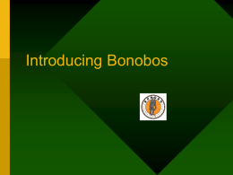 Introducing Bonobos (with Teacher Notes)