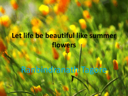 Let life be beautiful like summer flowers