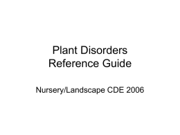 Plant Disorders Study Tool Part 1
