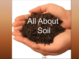 All About Soil_4.7A