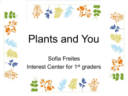 Plants and You - EDU604InstructionalStrategies