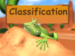 What is Classification?